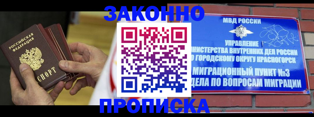 прописка для школы в Камышлове